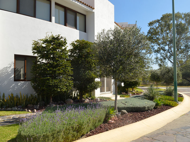 Diseño de jardines_0004__DSC0546