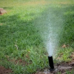 La importancia de un sistema de riego automático en León Guanajuato