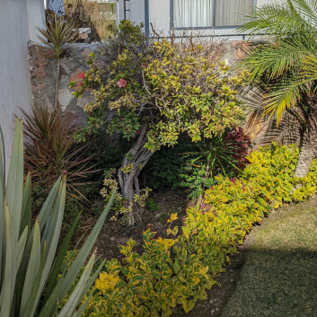 2025 UNETERRA (1080 x 1350 px)-7