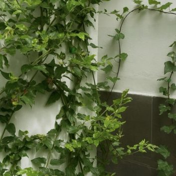 ChatGPT Image 12 oct 2025, 20_40_56