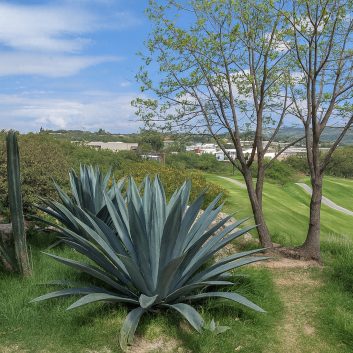 ChatGPT Image 22 oct 2025, 22_36_40