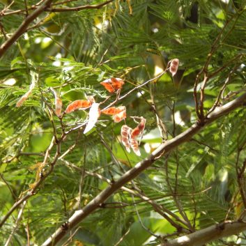 ??????????????????????????????????????????????????????????????????????????????????????????????????????????????????????????????????????????????????????????????????????????????????????????????????????????????????????????????????????????????????????????????????????????????????????????????????????????????????????????????????????????????????????????????????????????????????????????????????????????????????????????????????????