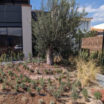 WhatsApp Image 2025-03-03 at 17.24.54 (2)