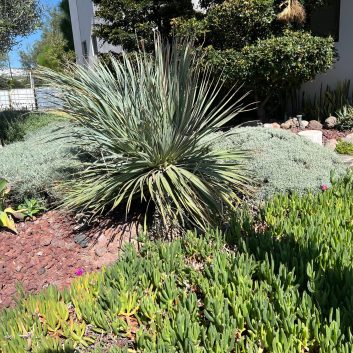 WhatsApp Image 2025-03-03 at 17.24.54 (3)