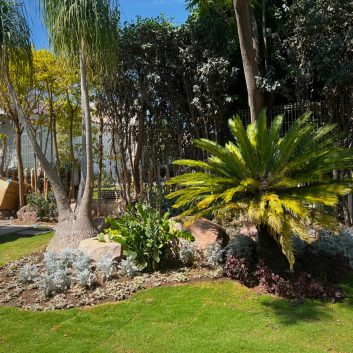 WhatsApp Image 2025-03-03 at 17.24.54