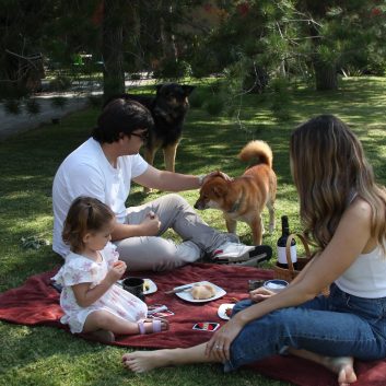 WhatsApp Image 2025-11-21 at 08.13.55